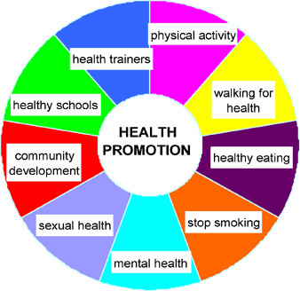 health promotion pie